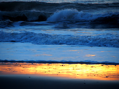 [Only the waves and seafoam flowing to the sand are visible. The wet sand is bright gold while the rest is bluish gray. The seafoam has flecks of gold in it as the wind whips up the incoming waves.]